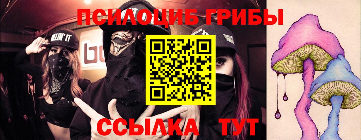 Краснознаменск  Псилоцибиновые грибы Cubensis  Вход с VPN 