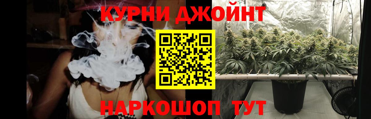 Марихуана SATIVA & INDICA Краснознаменск